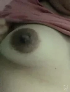 东北二嫂视频